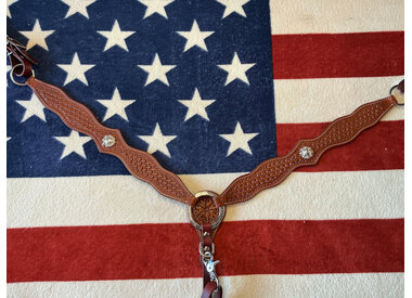 Borstriemen voor Paarden