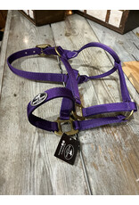 Bootshorse Halster Nylon BootsHorse Purple Cob
