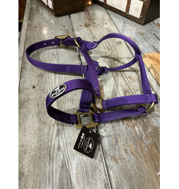 Bootshorse Halster Nylon BootsHorse Purple Cob
