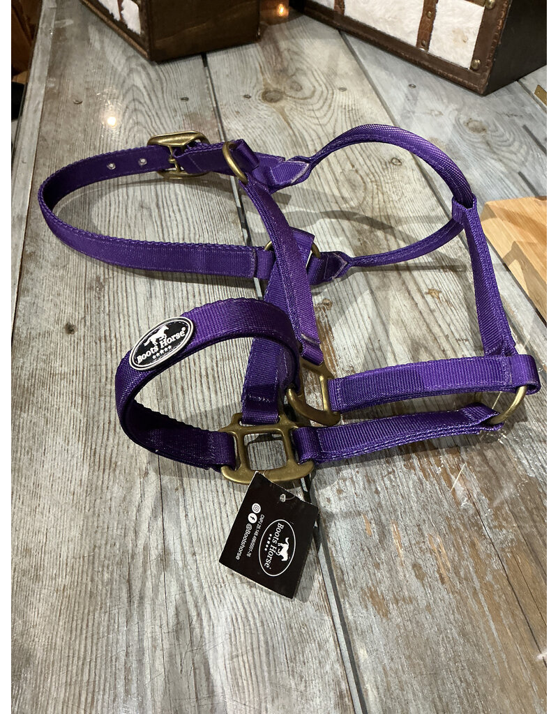 Bootshorse Halster Nylon BootsHorse Purple Cob
