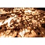 LEDsheets.nl by Luksus LED Sheet 25x100cm extra warm wit 2700K 48W – Koppelbare LED verlichting voor natuursteen