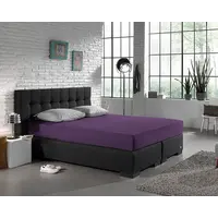 Hoeslaken Jersey Paars