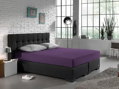 Dreamhouse Hoeslaken Jersey Paars Dreamhouse Hoeslaken Jersey Paars