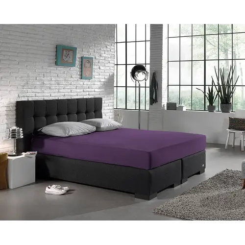 Dreamhouse Hoeslaken Jersey Paars Dreamhouse Hoeslaken Jersey Paars