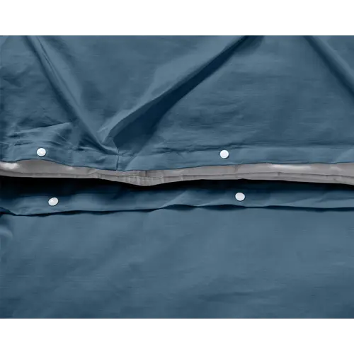 Dreamhouse Dekbedovertrek Salvador Blauw