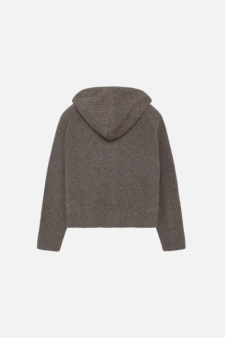 Won Hundred GADA Knit Hoodie