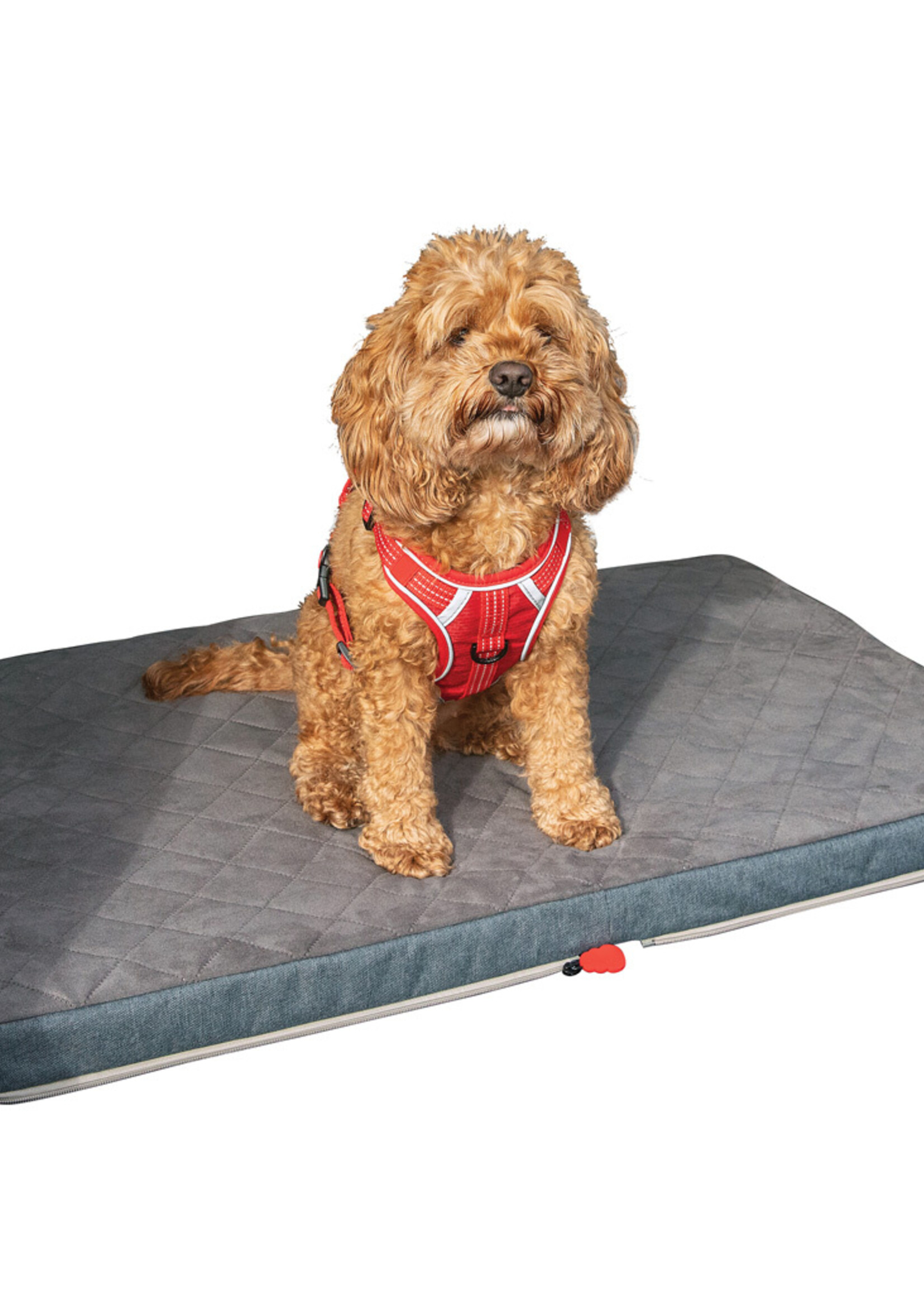 KONG KONG Travel Fold-Up Travel Mat