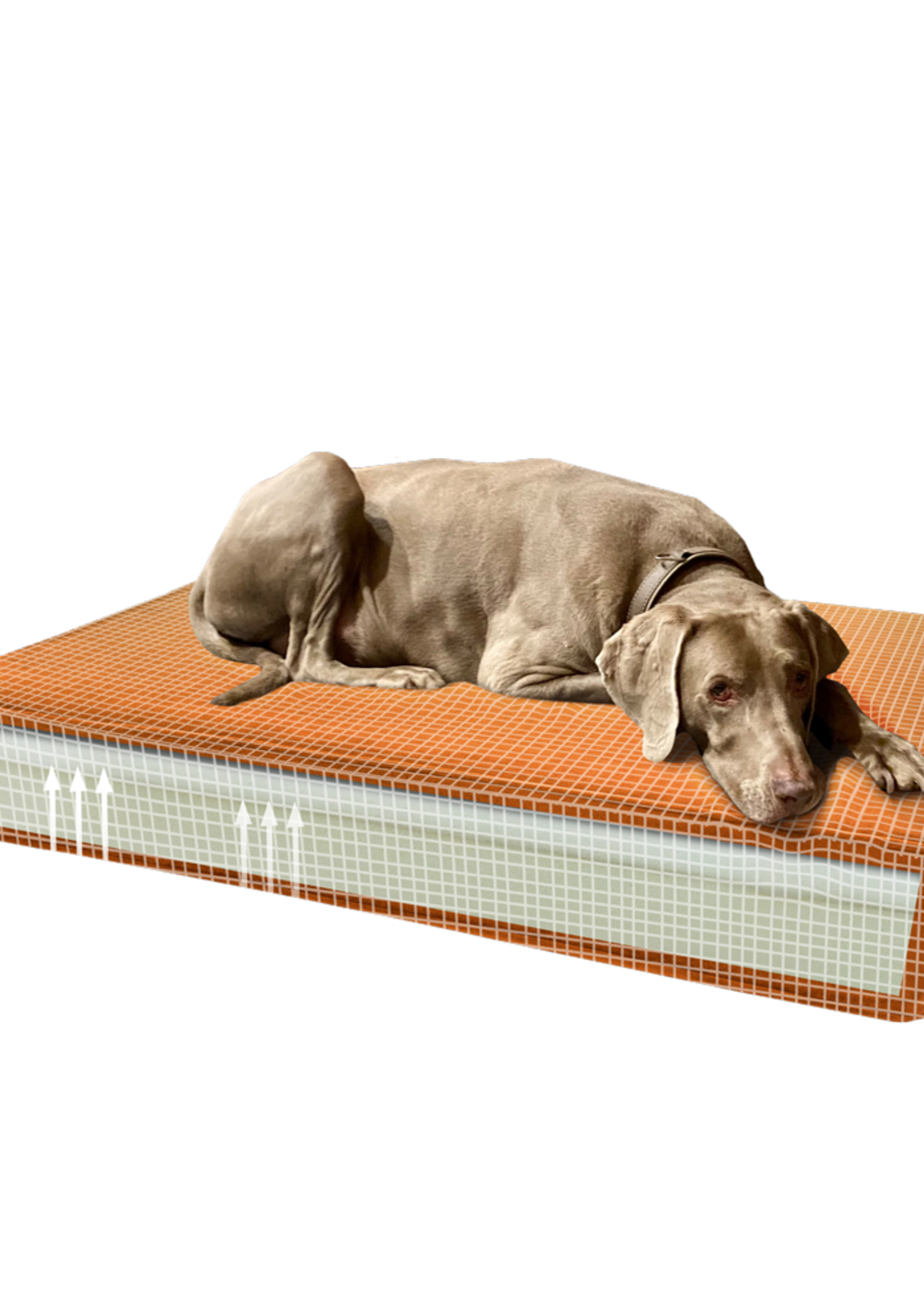 Madison Madison Orthopedisch Kussen Velvet Oranje S