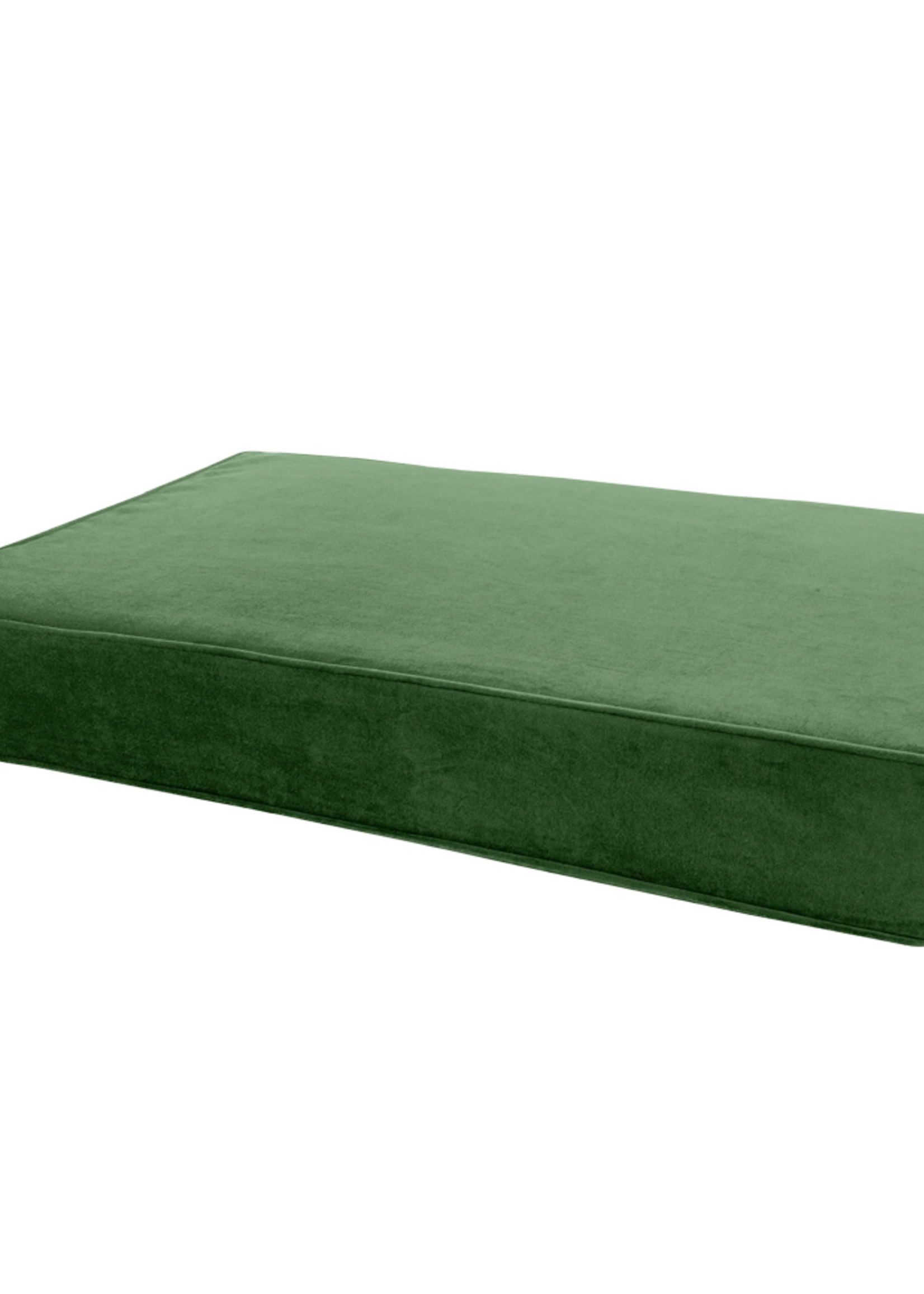 Madison Madison Orthopedisch Kussen Velvet Groen S