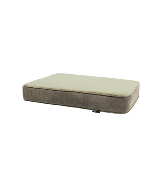 Madison Madison Orthopedisch Kussen Taupe S