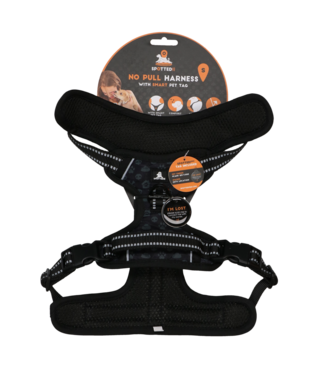 Spotted! Pro Spotted! Pro No Pull Harnas Donker Grijs S
