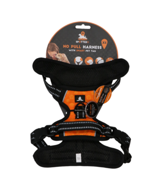 Spotted! Pro Spotted! Pro No Pull Harnas Oranje XS