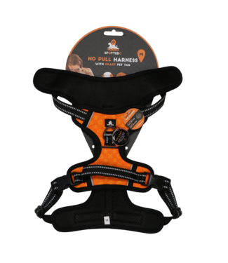Spotted! Pro Spotted! Pro No Pull Harnas Oranje M