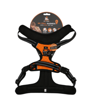 Spotted! Pro Spotted! Pro No Pull Harnas Oranje L