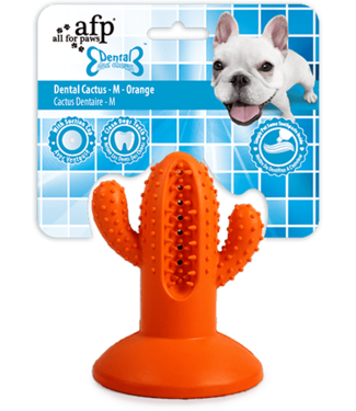 AFP AFP Dental Chews - Dental Cactus M Oranje