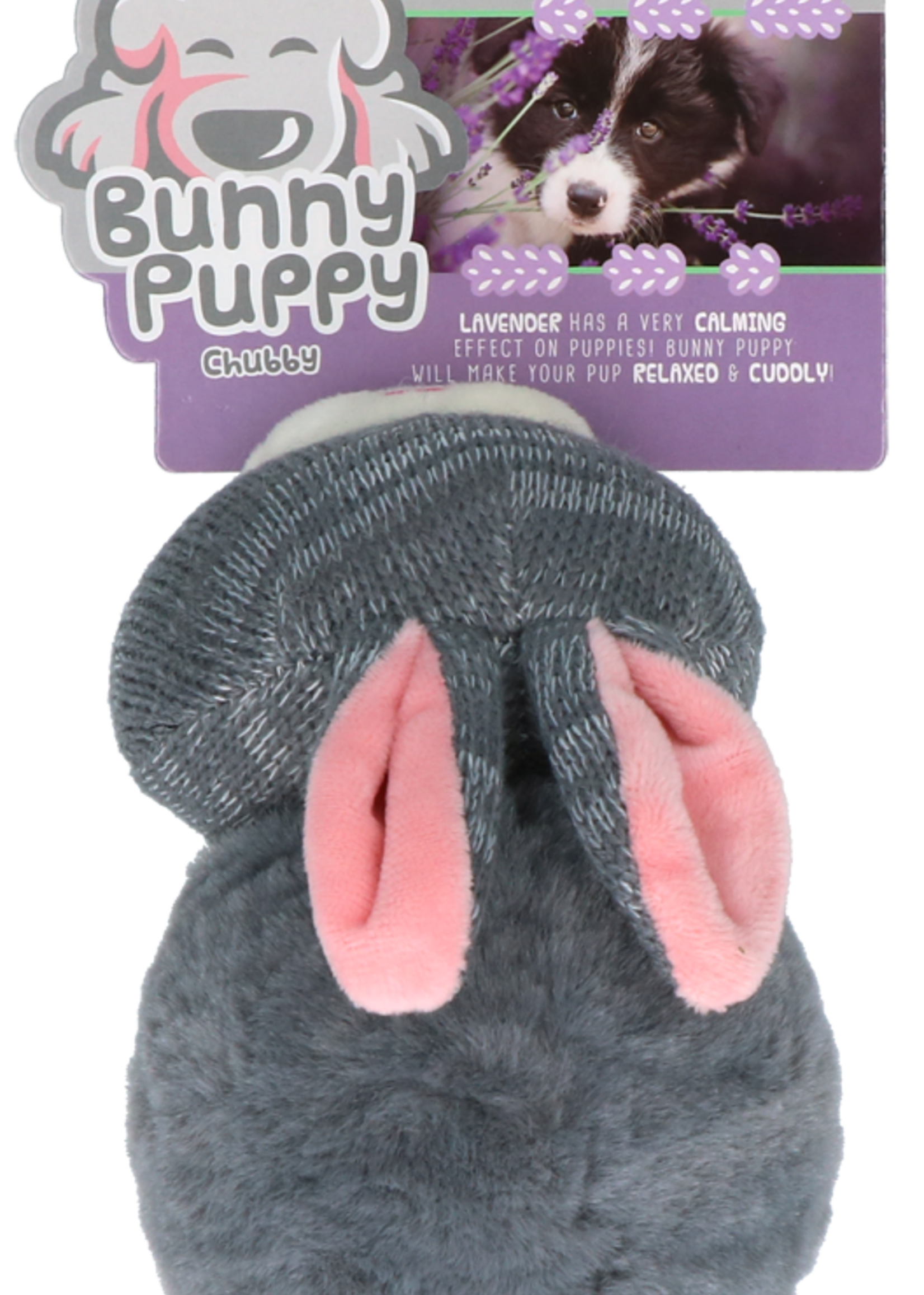 Bunny Puppy Bunny Puppy Chubby