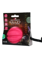 Dog Comets Dog Comets Halley Met Touw Roze