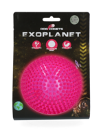 Dog Comets Dog Comets Exoplanet Egelbal L Roze