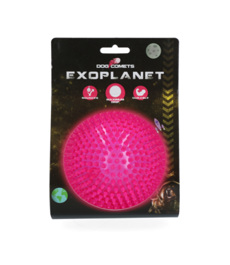 Dog Comets Dog Comets Exoplanet Egelbal L Roze