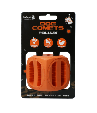 Dog Comets Dog Comets Pollux Oranje