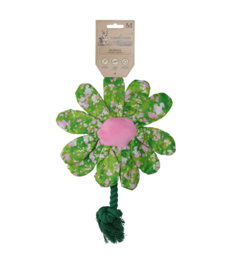 Garden Paws Garden Paws Flower Summer Shrubs M