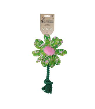 Garden Paws Garden Paws Flower Summer Shrubs S