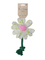 Garden Paws Garden Paws Flower Spring Sakura S