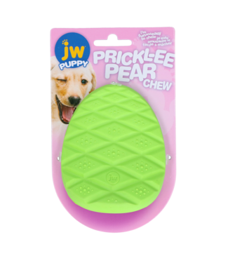 JW JW Puppy - Prickl-ee Pear Teether