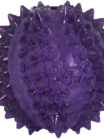 JW JW Puppy - Bristl-ee Cactus Ball