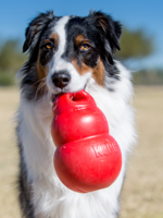 KONG KONG Bounzer Large M