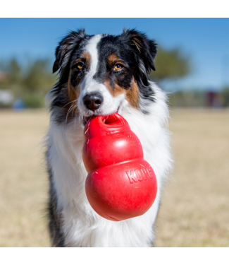 KONG KONG Bounzer Large M