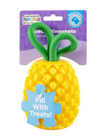Outward Hound (Kyjen) Outward Hound Dental Pineapple