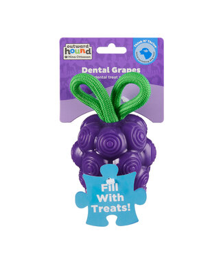 Outward Hound (Kyjen) Outward Hound Dental Grapes