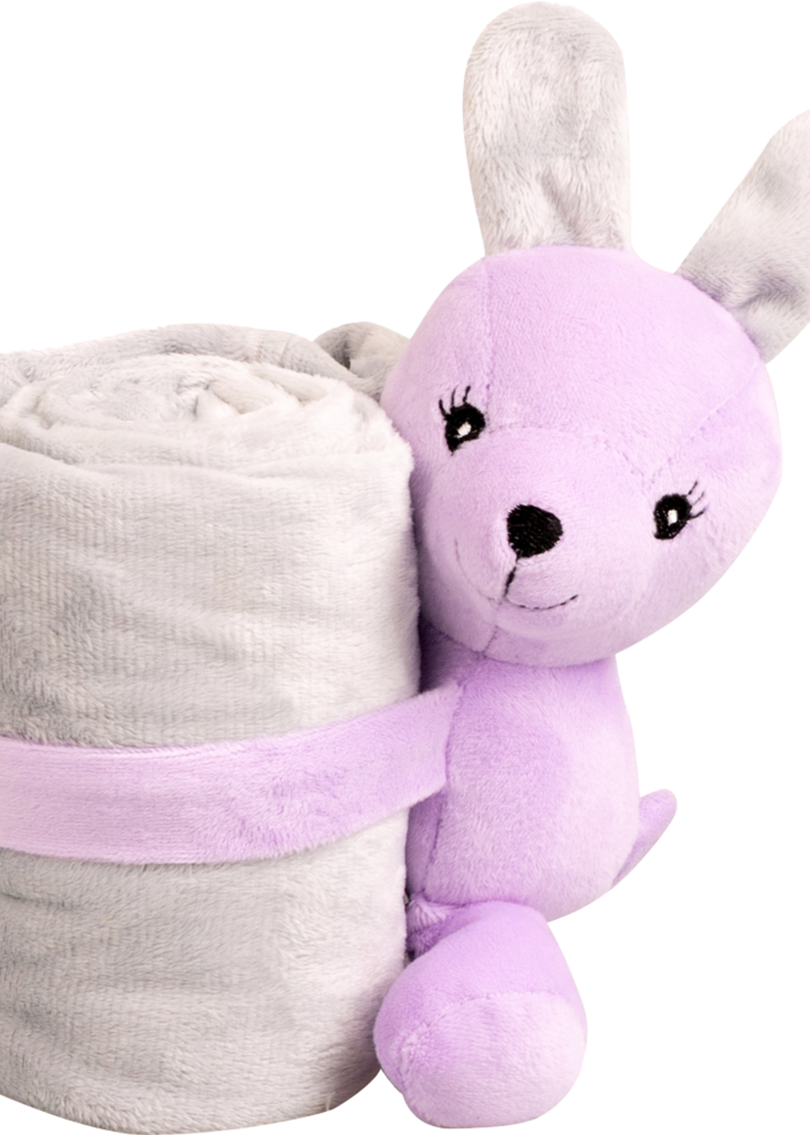 Pawise Pawise Puppy Life Blanket With Toy