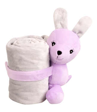 Pawise Pawise Puppy Life Blanket With Toy