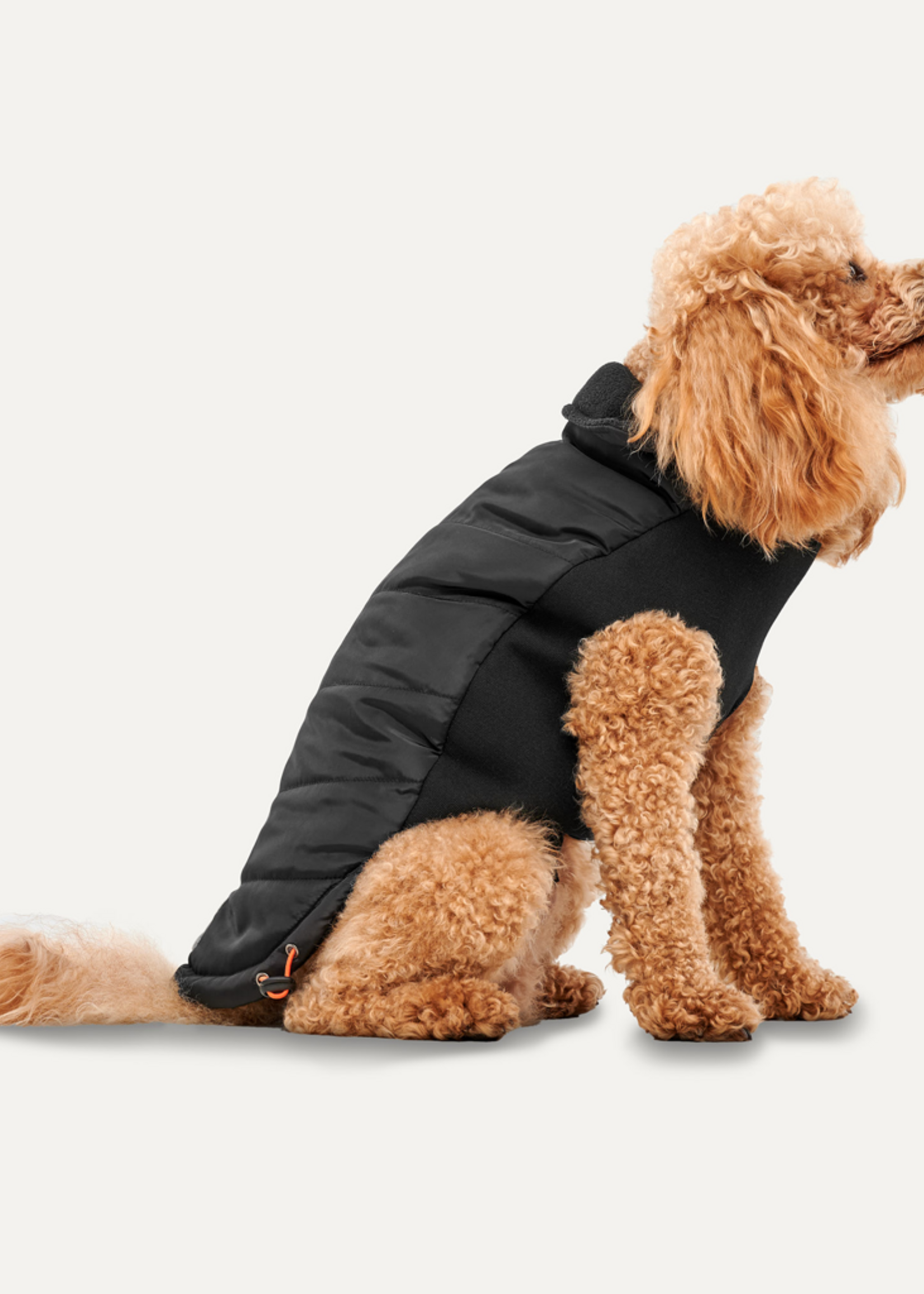 Goo-eez Goo-eez Mock Neck Signature Wrap Jacket XXS Zwart