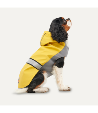 Goo-eez Goo-eez Reflective Hooded Raincoat XS Geel/Grijs