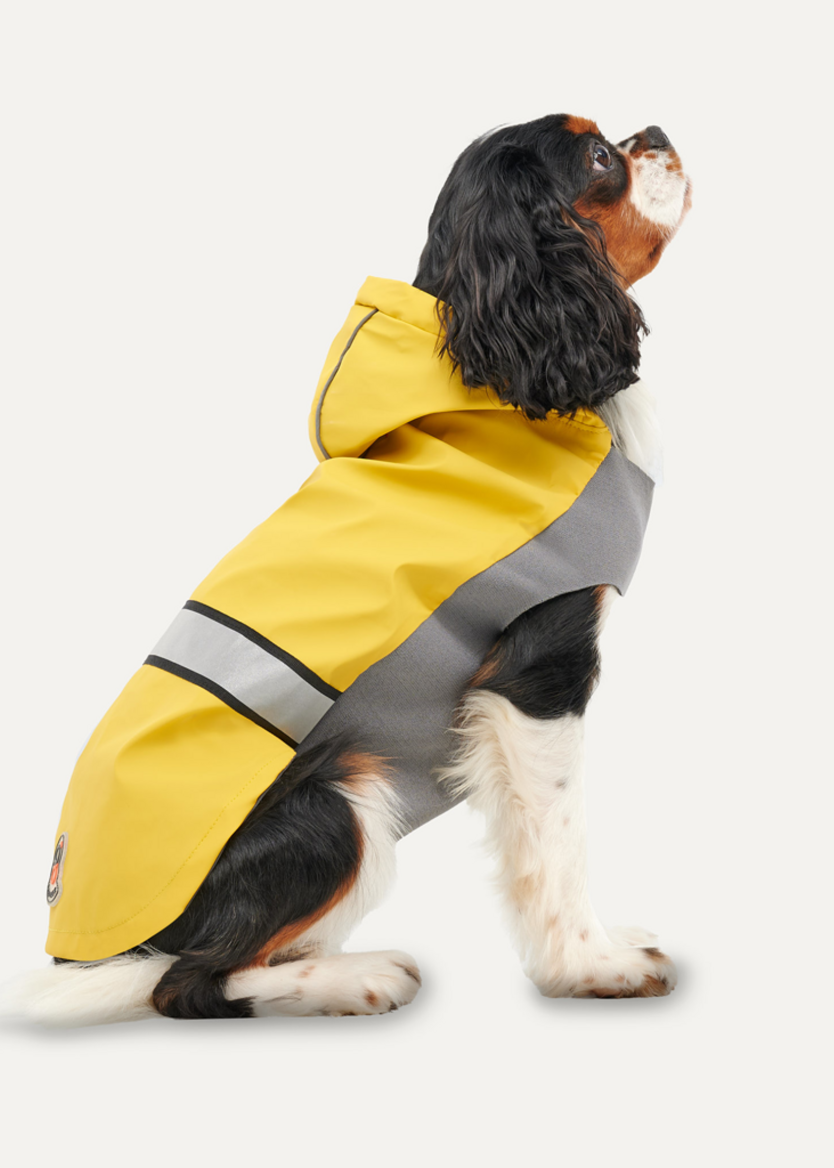 Goo-eez Goo-eez Reflective Hooded Raincoat M Geel/Grijs