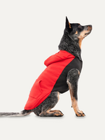 Goo-eez Goo-eez Kangaroo Fleece Hoodie L Rood/Zwart