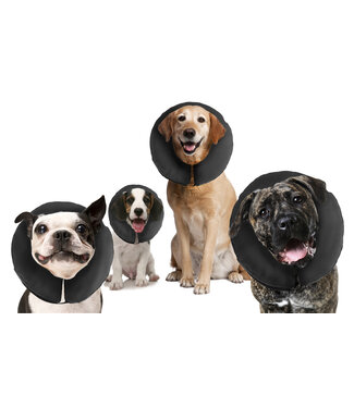 Zenpet Zenpet ProCollar XL