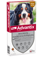 Advantix Advantix vlooien- en tekenpipet voor honden 600/3000 (40 tot 60 kg) 4 pipetten