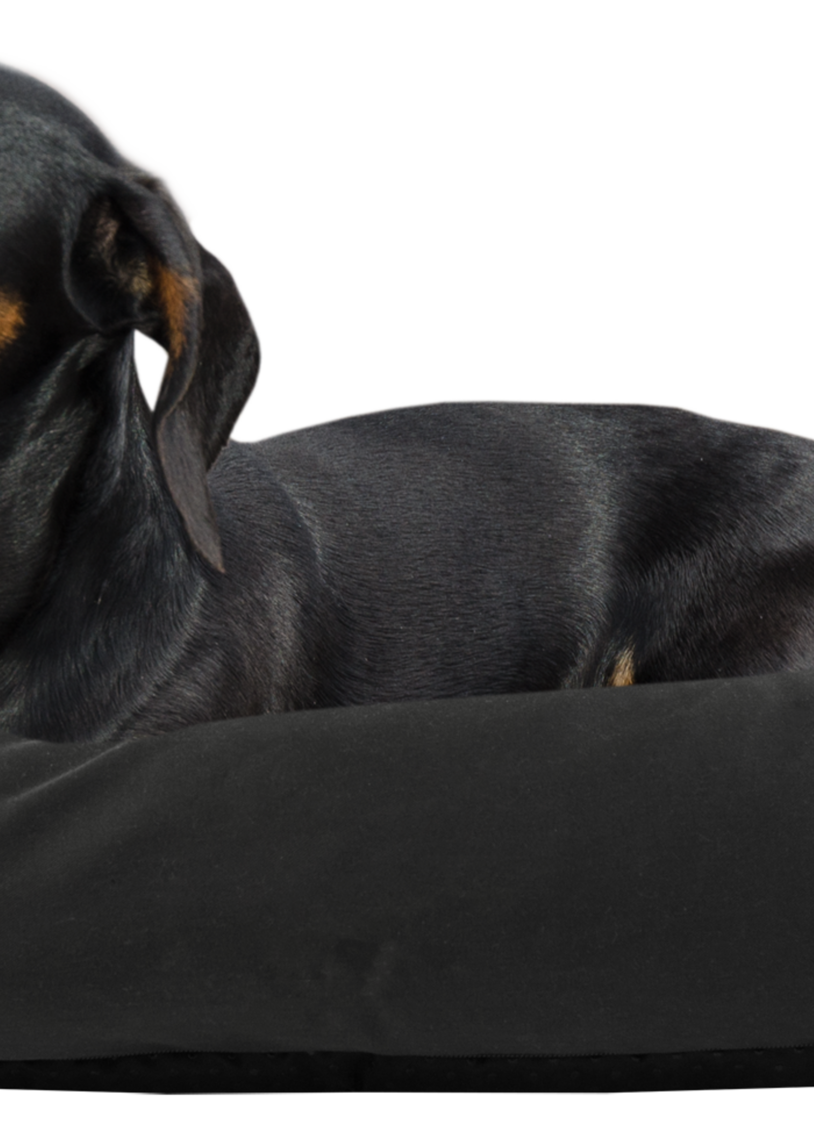 Bodyguard Bodyguard Sofa Bed Zwart S