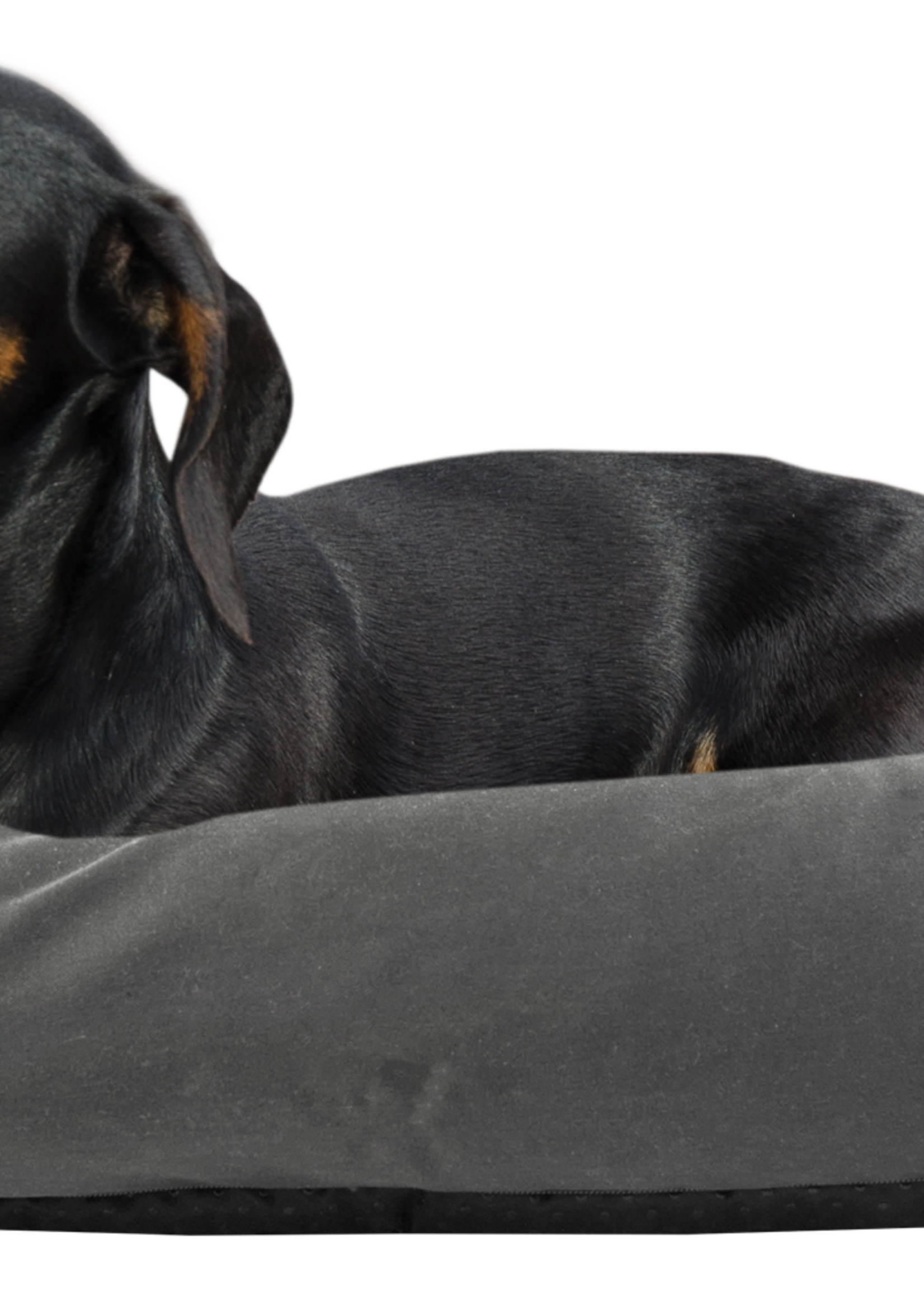 Bodyguard Bodyguard Sofa Bed Grijs S