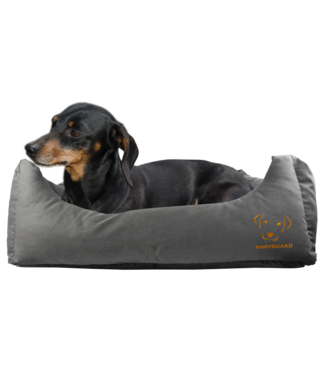 Bodyguard Bodyguard Sofa Bed Grijs S