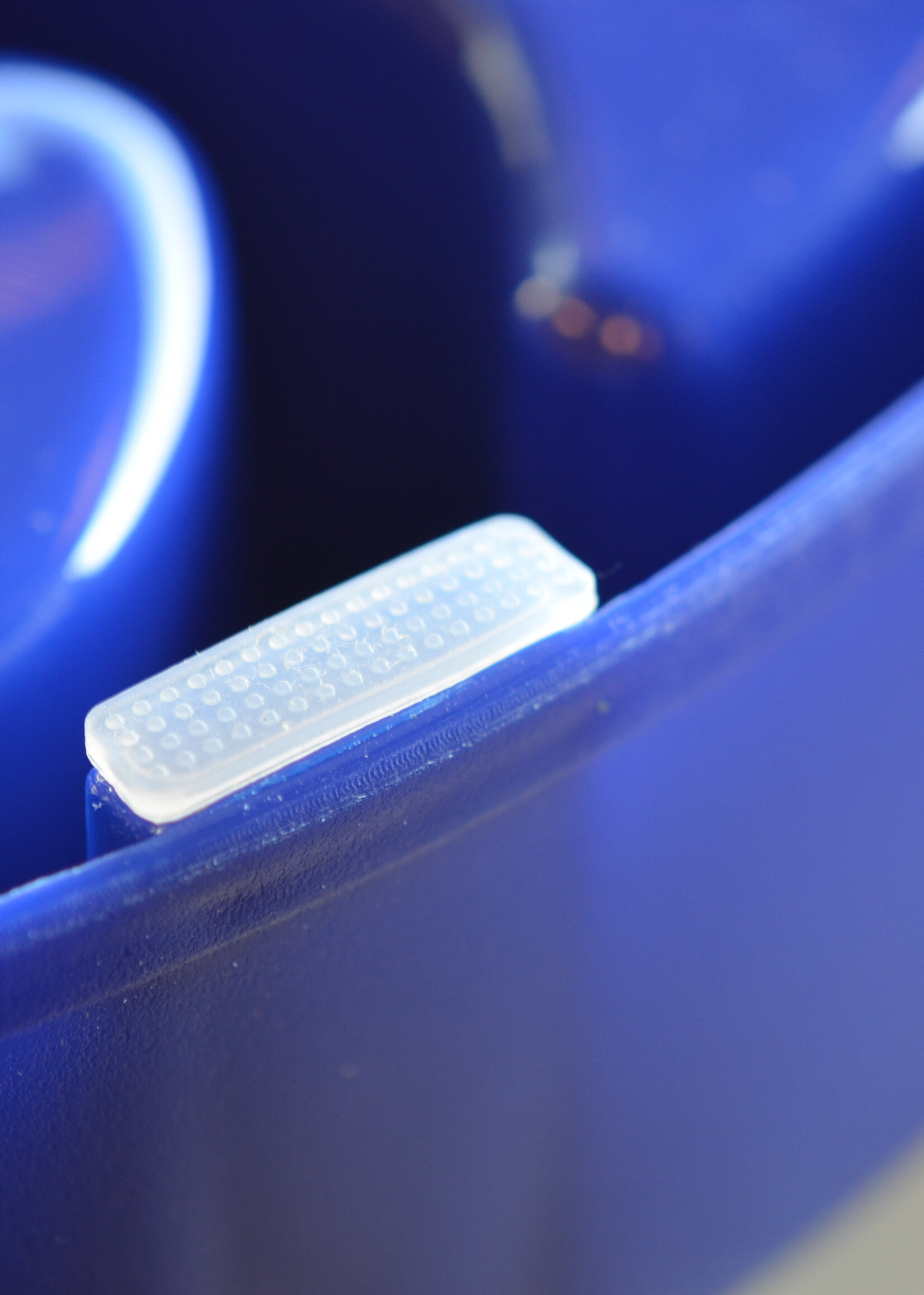 Eat Slow Live Longer Eat Slow Live Longer Rubber Feet