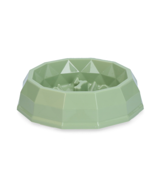 Pawise Pawise My Slow Feeding Bowl M