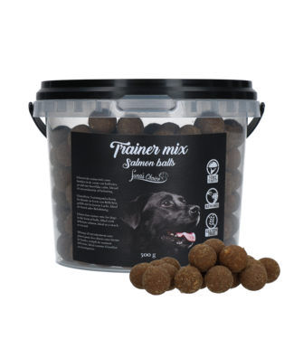 Luna's Choice Luna's Choice Trainer Mix Zalm Balletjes (glutenvrij)
