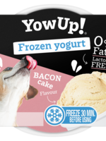 YowUp! YowUp! Frozen Yoghurt Bacon Cake