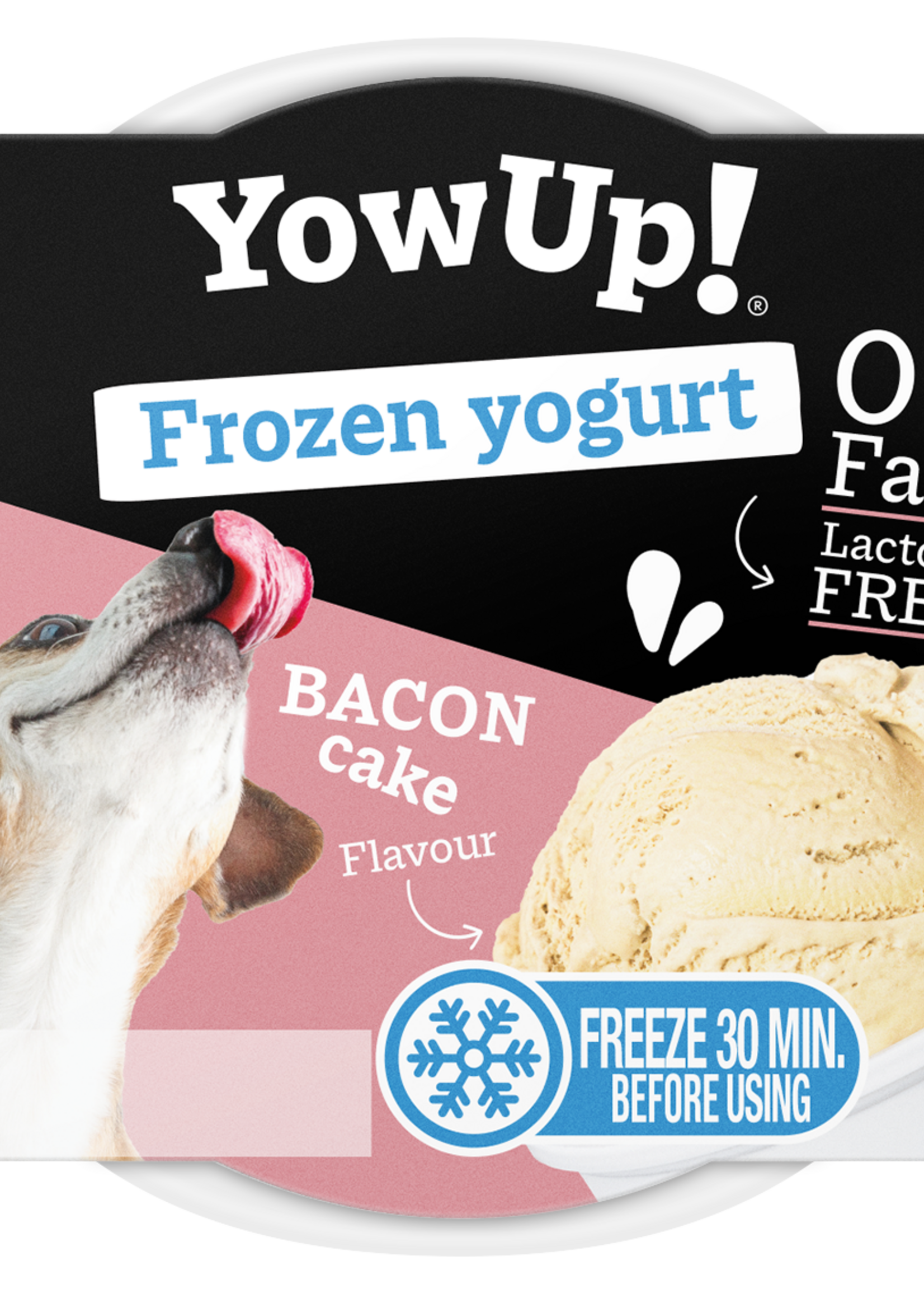 YowUp! YowUp! Frozen Yoghurt Bacon Cake