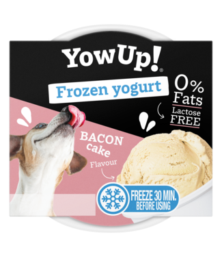 YowUp! YowUp! Frozen Yoghurt Bacon Cake